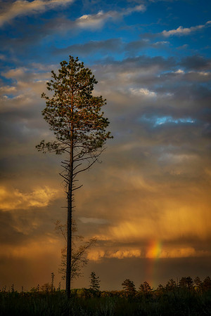 Passing Storm