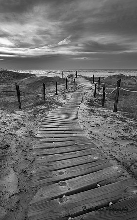 Kohler Dunes BW
