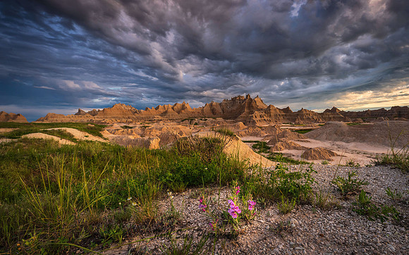 Sunrise on the Fossil Trail