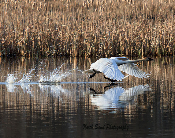 Take Off