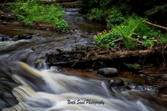 Hurricane River
