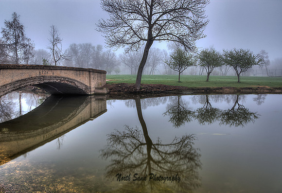 Reflection on a Foggy Day