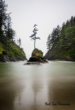 Dead Man's Cove II