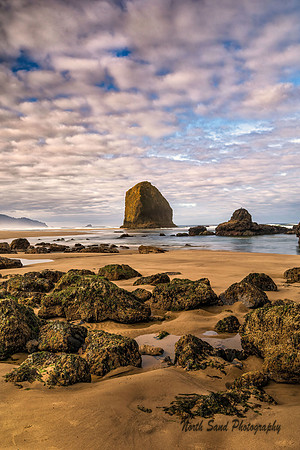Cannon Beach II