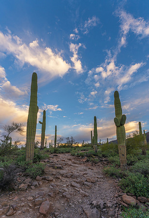 Hieroglyphic Trail 1