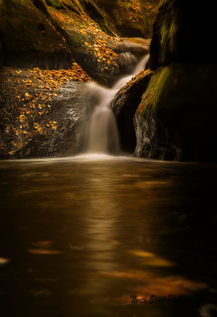 Autumn Falls